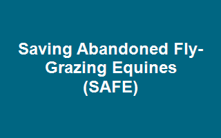 Saving Abandoned Fly-Grazing Equines (SAFE)